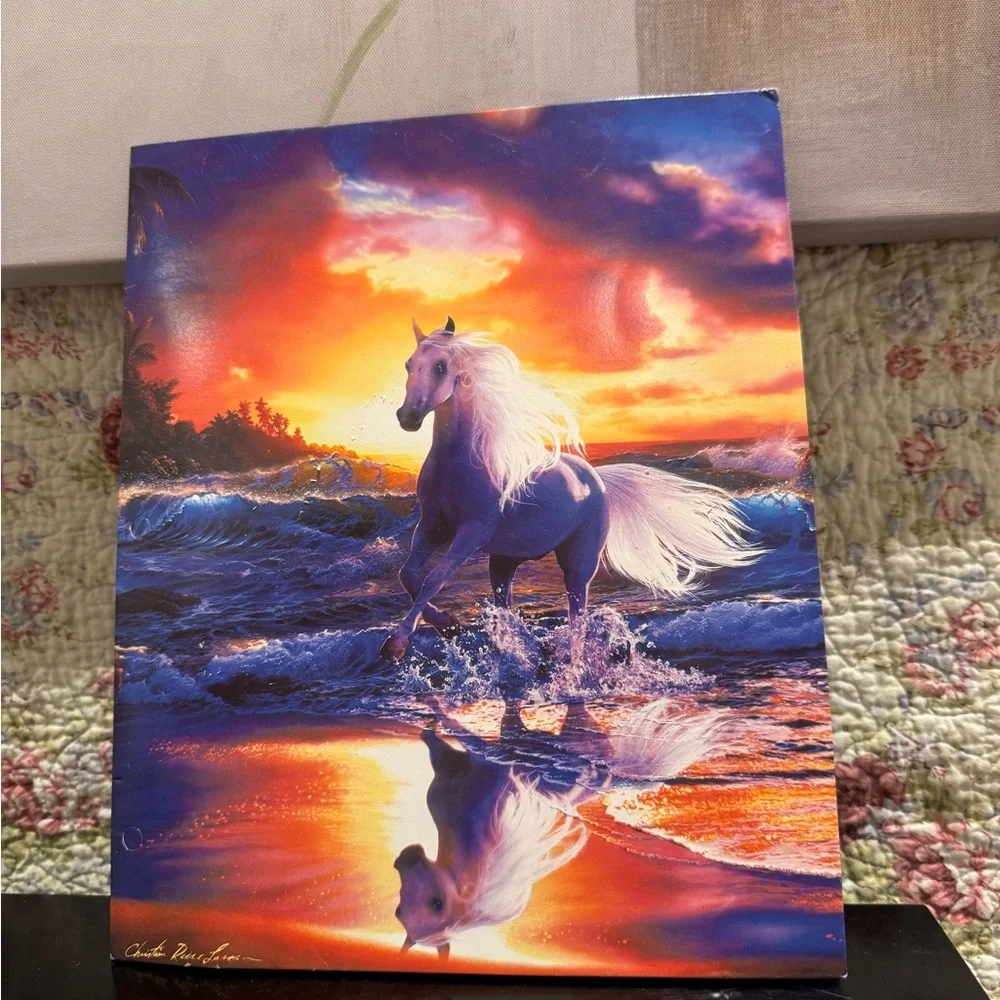 Vintage Pocket Folder Christian Riese Lassen Free Spirit Wild Horse On Beach